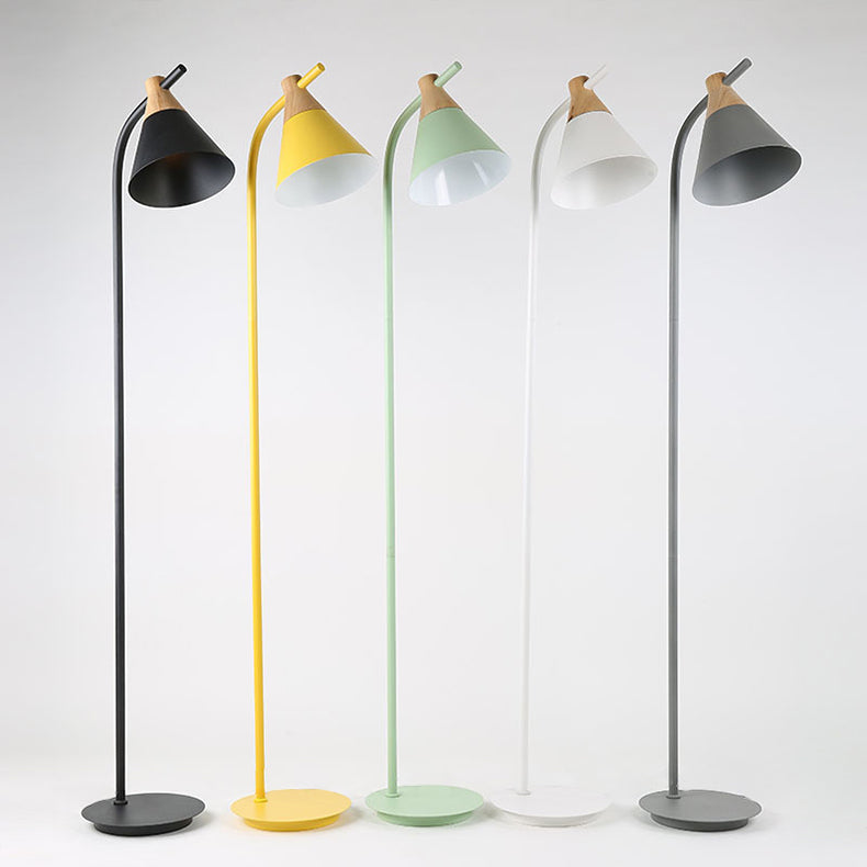 Nordic-Inspired Macaron Cone Shade 1-Light Floor Lamp