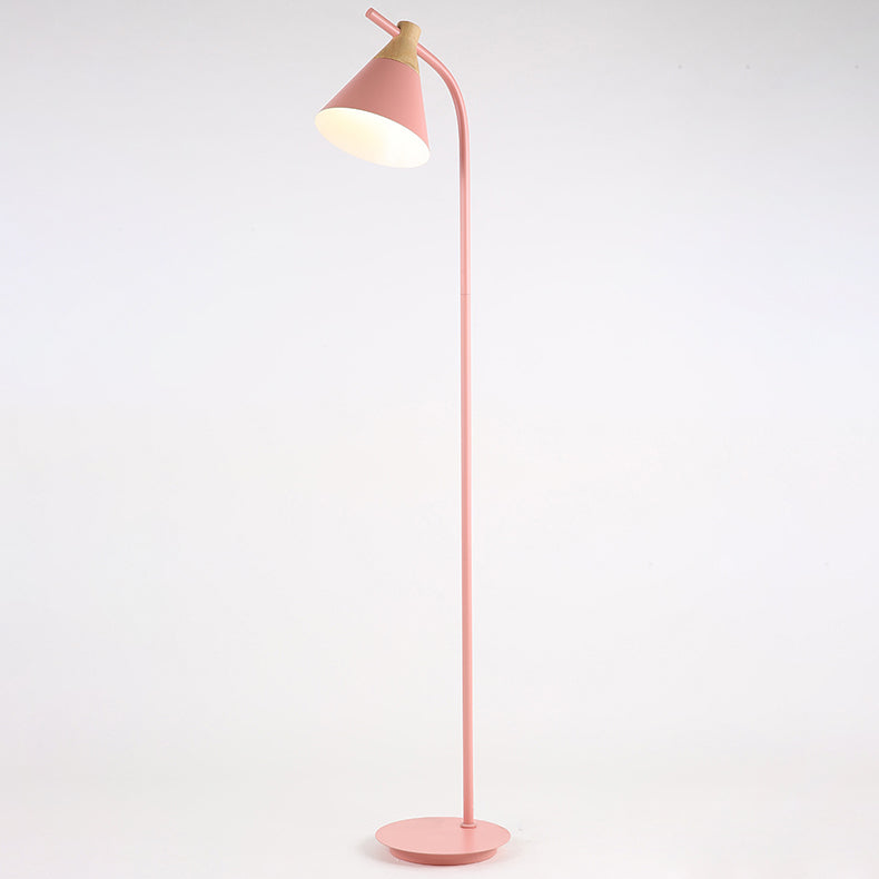Nordic-Inspired Macaron Cone Shade 1-Light Floor Lamp