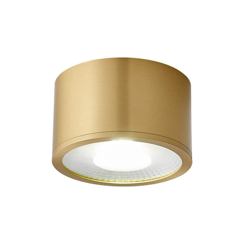 Modern Brass LED Spotlight Flush-Mount Ceiling Light — Cylindrical Design