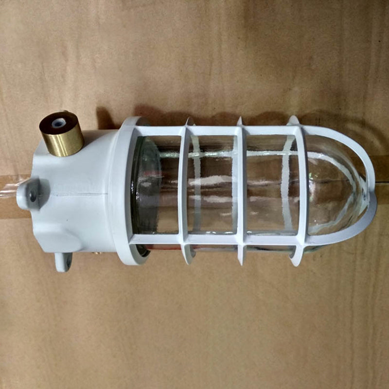 Modern Industrial Outdoor Ceiling Light - 1-Light, Waterproof Aluminum Alloy with Glass Cylinder Cage, Semi-Flush Mount for Patio