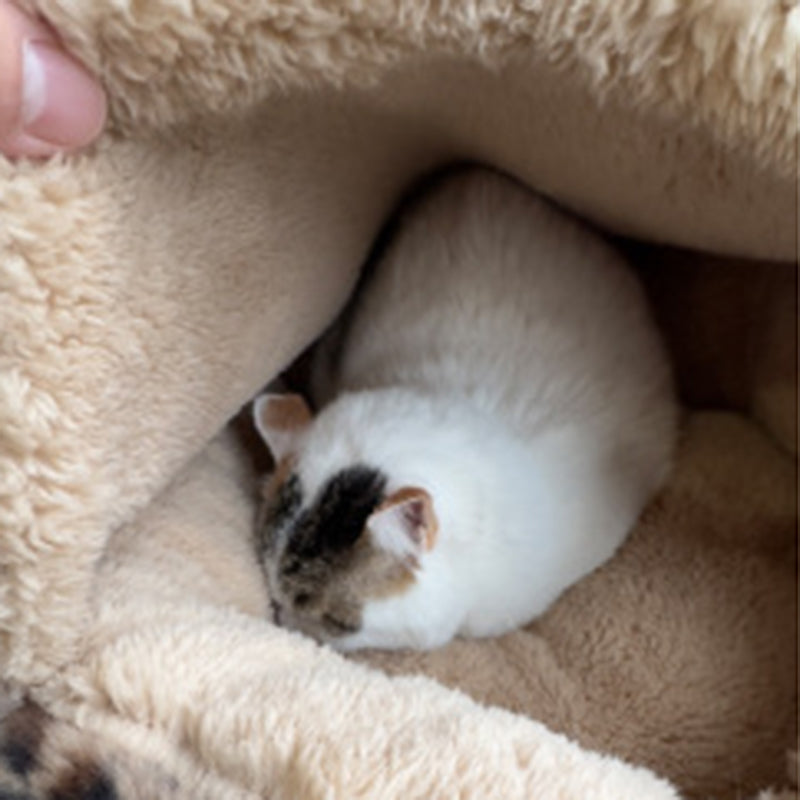 Cozy Round Arctic Fleece Pet Bed – Plush Long-Pile Lambswool with PP Cotton Filling, Colorful Warmth for Cats & Dogs, Bedroom-Ready