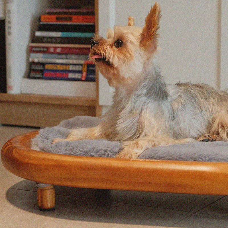 Modern Minimalist Oval Solid Wood Velvet Pet Bed with Cat Claw Leather Accents for Cats and Dogs, Bedroom-Ready