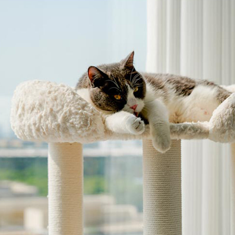 Round Scandinavian-Style Cat Tree with Velvet Fabric and Sisal Posts — MDF Construction, Multi-Functional Living Room Furniture