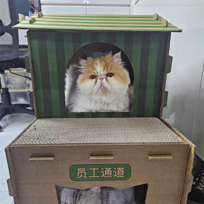 Modern Rectangular Cat Scratcher & 2-Tier Cat Bed, Durable Corrugated Cardboard, Grade A Strength for Living Room
