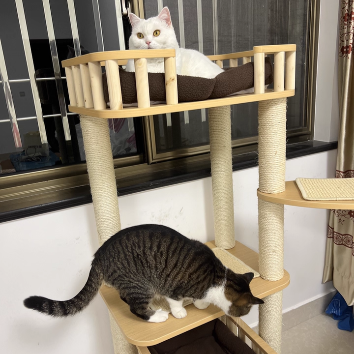 Contemporary Scandinavian 4-Tier Cat Tree — Solid Wood Panels, Velvet Fabric, and Sisal Posts, Square Multi-Layer Design for Living Room
