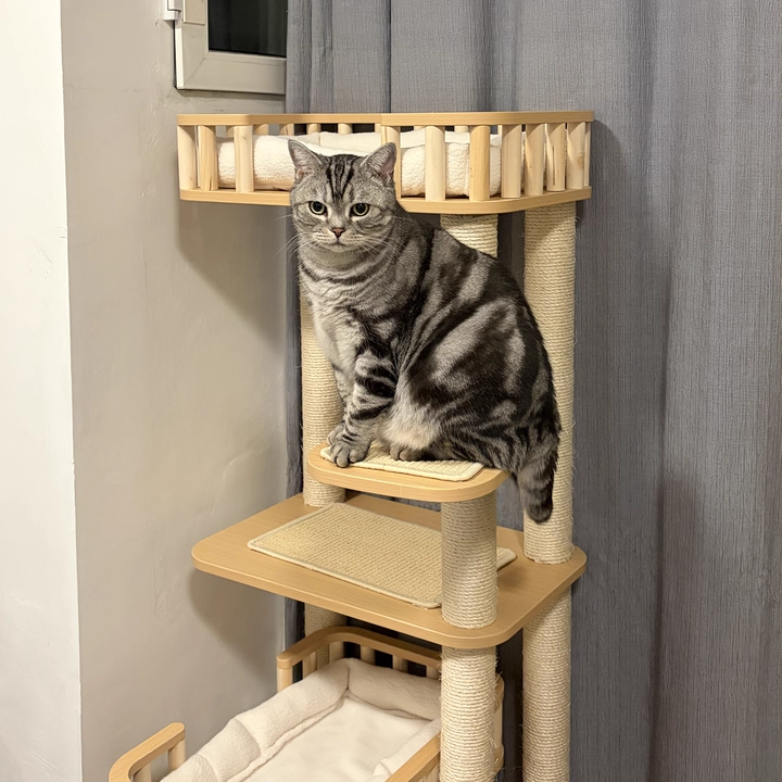 Contemporary Scandinavian 4-Tier Cat Tree — Solid Wood Panels, Velvet Fabric, and Sisal Posts, Square Multi-Layer Design for Living Room
