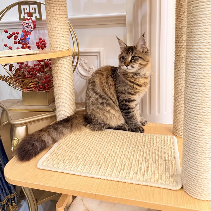 Contemporary Scandinavian 4-Tier Cat Tree — Solid Wood Panels, Velvet Fabric, and Sisal Posts, Square Multi-Layer Design for Living Room