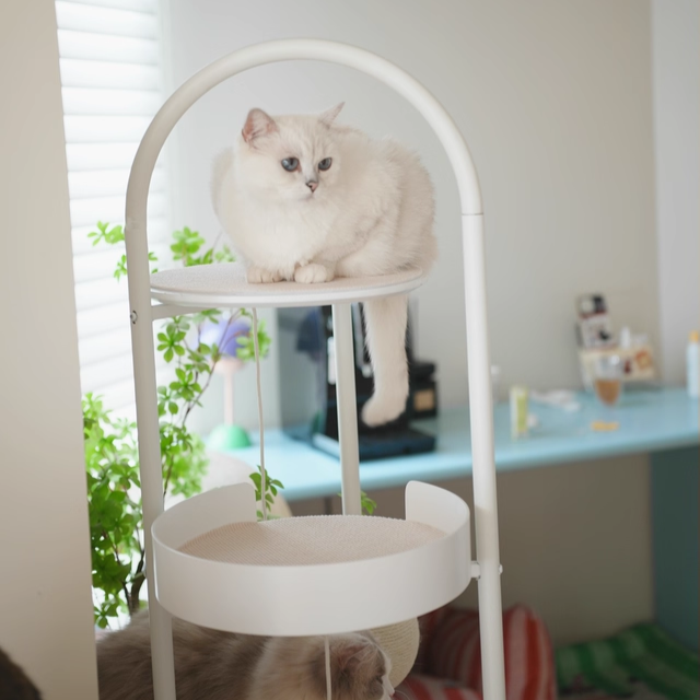 Stylish Contemporary Scandinavian Round Cat Tree – 5-Tier, Solid Pine & MDF with Iron, Sisal & Acrylic Accents for Living Room