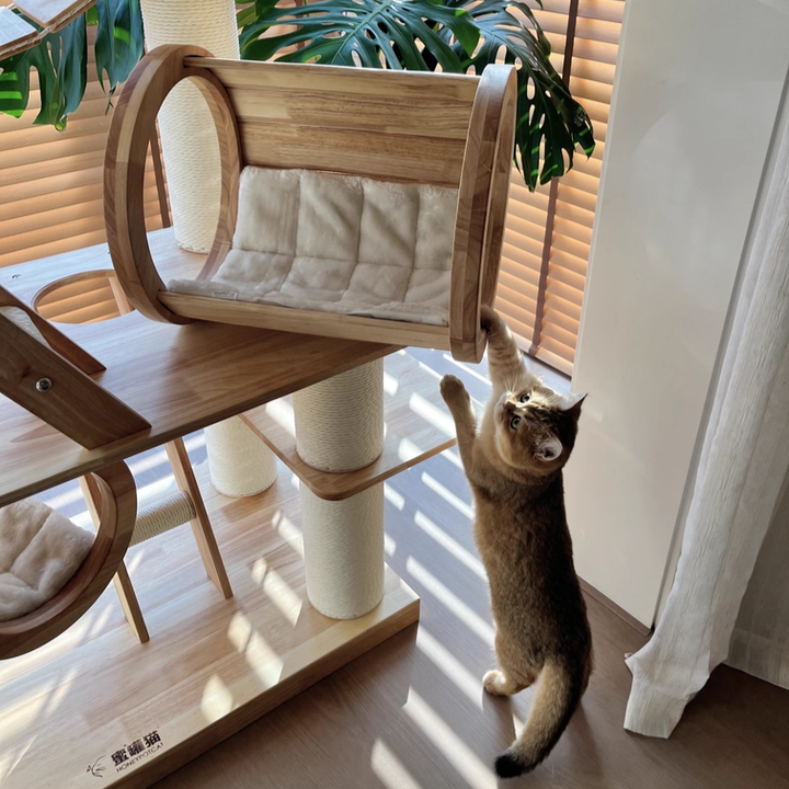 6-Tier Large Cat Tree – Contemporary Scandinavian Rectangular Solid Wood Panel Cat Tower with Velvet Fabric, Paper Rope, and Acrylic Accents for Living Room