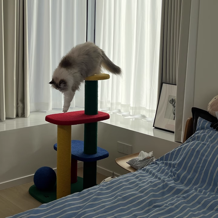Modern Rectangular Cat Tree – 2/3/4-Tier Multi-Level with Particleboard, Corrugated Paper, Sisal & Jute (EPS Core) for Living Room