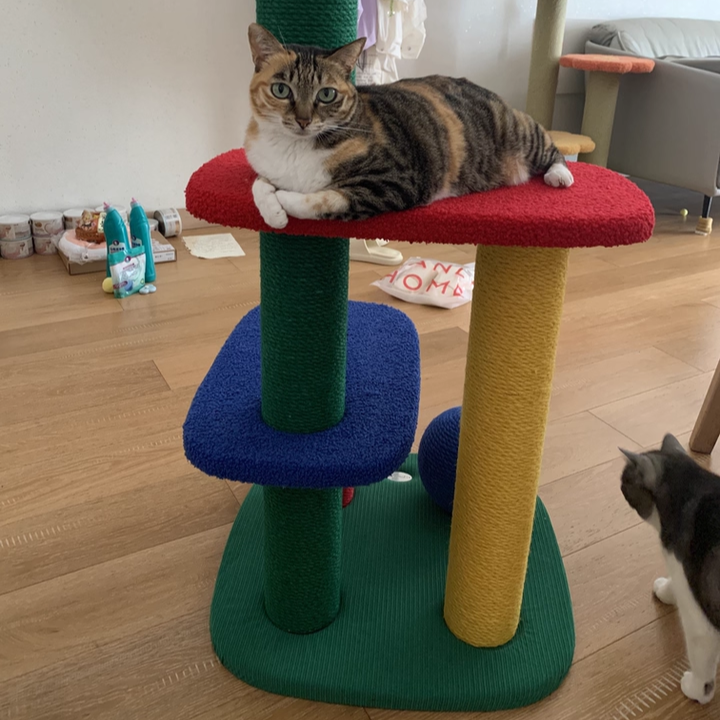 Modern Rectangular Cat Tree – 2/3/4-Tier Multi-Level with Particleboard, Corrugated Paper, Sisal & Jute (EPS Core) for Living Room