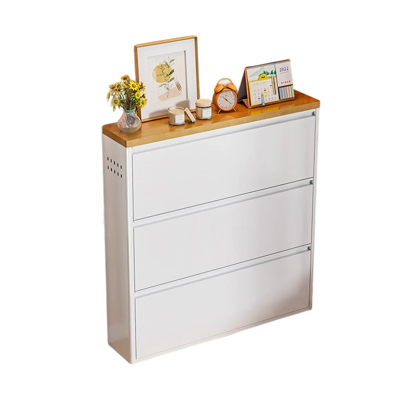 Modern Minimalist Steel Slim Rectangular Shoe Storage with Flip Drawers — 3/4-Tier Entryway Organizer