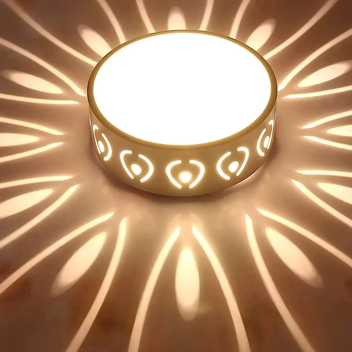 Elegant LED Ceiling Light with Dual Warm & Cool White Illumination