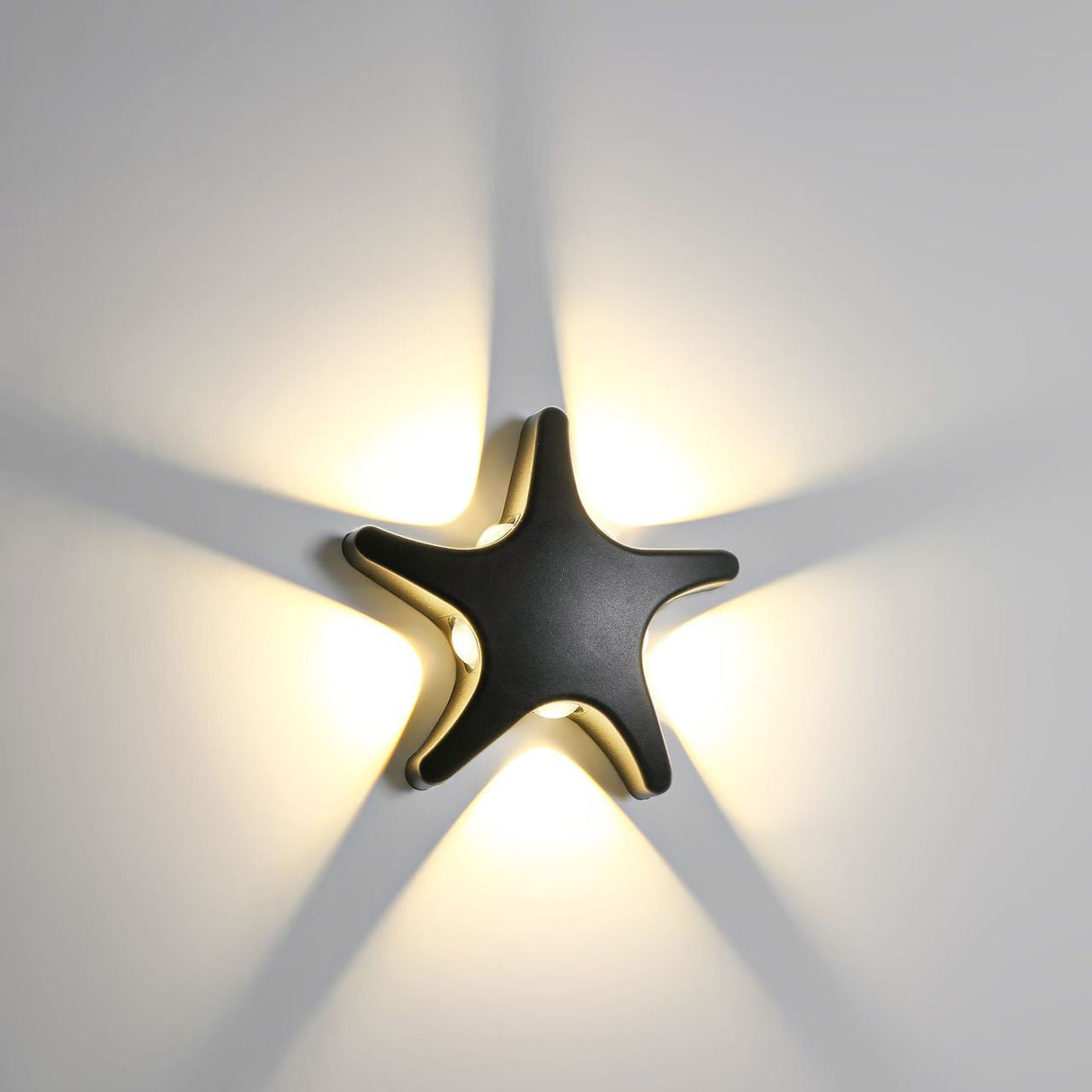 Aluminum Starfish LED Waterproof Outdoor Wall Sconce – Contemporary Patio Lighting