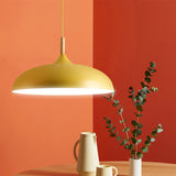 Modern Metal and Wood Dome Pendant Light — 1-Light, Wooden Top