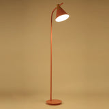 Nordic-Inspired Macaron Cone Shade 1-Light Floor Lamp
