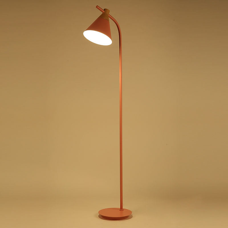 Nordic-Inspired Macaron Cone Shade 1-Light Floor Lamp