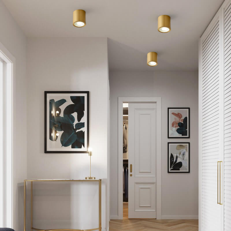 Modern Brass LED Spotlight Flush-Mount Ceiling Light — Cylindrical Design