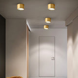 Modern Brass LED Spotlight Flush-Mount Ceiling Light — Cylindrical Design
