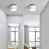 Chic Scandinavian Macaroon Solid Color LED Flush-Mount Ceiling Light
