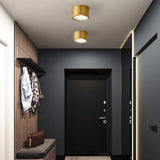 Modern Brass LED Spotlight Flush-Mount Ceiling Light — Cylindrical Design