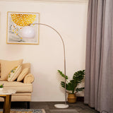 Modern Globe Acrylic Shade 1-Light Floor Lamp with Fishing-Rod Style Stand