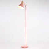 Nordic-Inspired Macaron Cone Shade 1-Light Floor Lamp