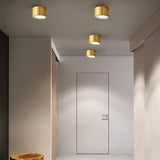 Modern Brass LED Spotlight Flush-Mount Ceiling Light — Cylindrical Design