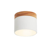 Chic Scandinavian Macaroon Solid Color LED Flush-Mount Ceiling Light