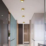 Modern Brass LED Spotlight Flush-Mount Ceiling Light — Cylindrical Design