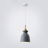 Nordic Macaron Metal 1-Light Pendant Fixture