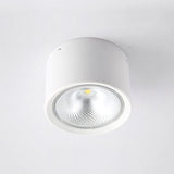 Nordic Cylinder LED Spotlight Flush-Mount Ceiling Light - Sleek Modern Fixture