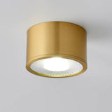 Modern Brass LED Spotlight Flush-Mount Ceiling Light — Cylindrical Design