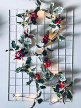 Christmas Red Fruit Rattan String Lights for Window & Patio – Perfect Party Decoration for Christmas and Thanksgiving