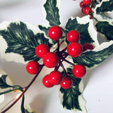 Christmas Red Fruit Rattan String Lights for Window & Patio – Perfect Party Decoration for Christmas and Thanksgiving