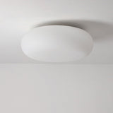 Sleek Modern Minimalist Oval Iron LED Flush Mount Ceiling Light with PE Finish for Bedroom
