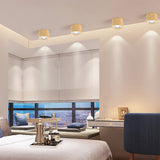 Nordic Cylinder LED Spotlight Flush-Mount Ceiling Light - Sleek Modern Fixture