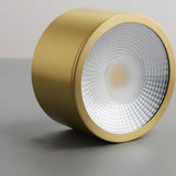 Modern Brass LED Spotlight Flush-Mount Ceiling Light — Cylindrical Design