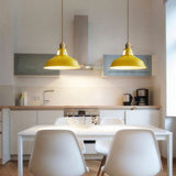 Vibrant Industrial 1-Light Colorful Barn Shade Pendant Light