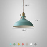 Vibrant Industrial 1-Light Colorful Barn Shade Pendant Light