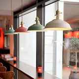 Vibrant Industrial 1-Light Colorful Barn Shade Pendant Light