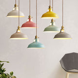 Vibrant Industrial 1-Light Colorful Barn Shade Pendant Light