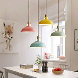 Vibrant Industrial 1-Light Colorful Barn Shade Pendant Light