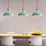 Vibrant Industrial 1-Light Colorful Barn Shade Pendant Light