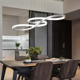 Contemporary Double-Sided Twist 1-Light LED Chandeliers