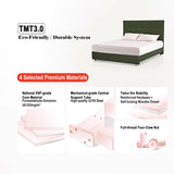 Removable Covers Beech Wood Bed Frame - Retro Customizable & Eco-Friendly Bed