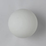 Sleek Modern Minimalist Orb Glass 1-Light Wall Sconce for Living Room