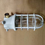 Modern Industrial Outdoor Ceiling Light - 1-Light, Waterproof Aluminum Alloy with Glass Cylinder Cage, Semi-Flush Mount for Patio