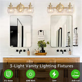 Modern Minimalist 3-Light Wall Sconce Vanity Light with Metal & Glass Ball for Bathroom