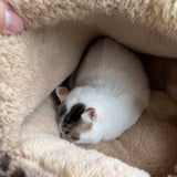 Cozy Round Arctic Fleece Pet Bed – Plush Long-Pile Lambswool with PP Cotton Filling, Colorful Warmth for Cats & Dogs, Bedroom-Ready